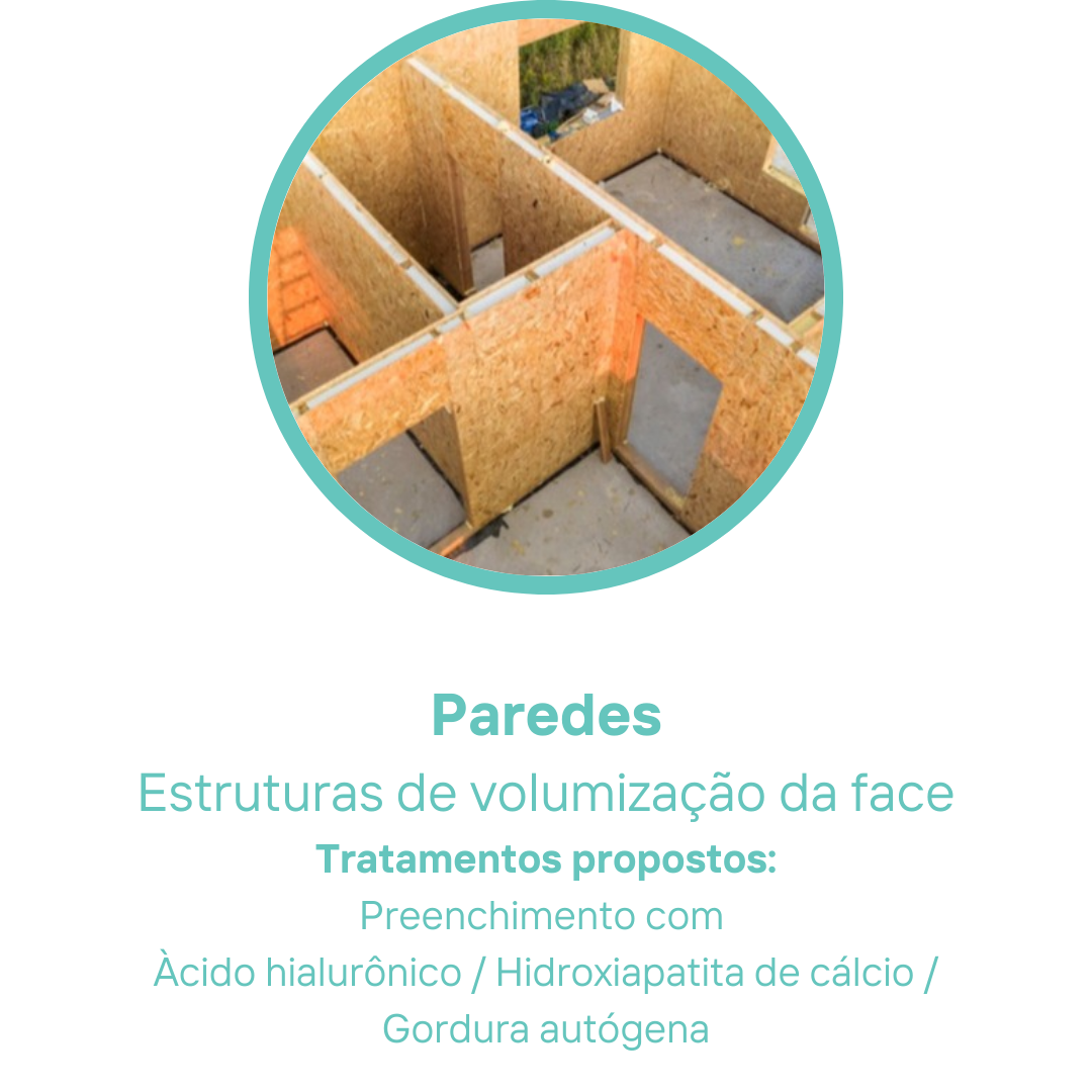 Cópia de Zeca (5).png