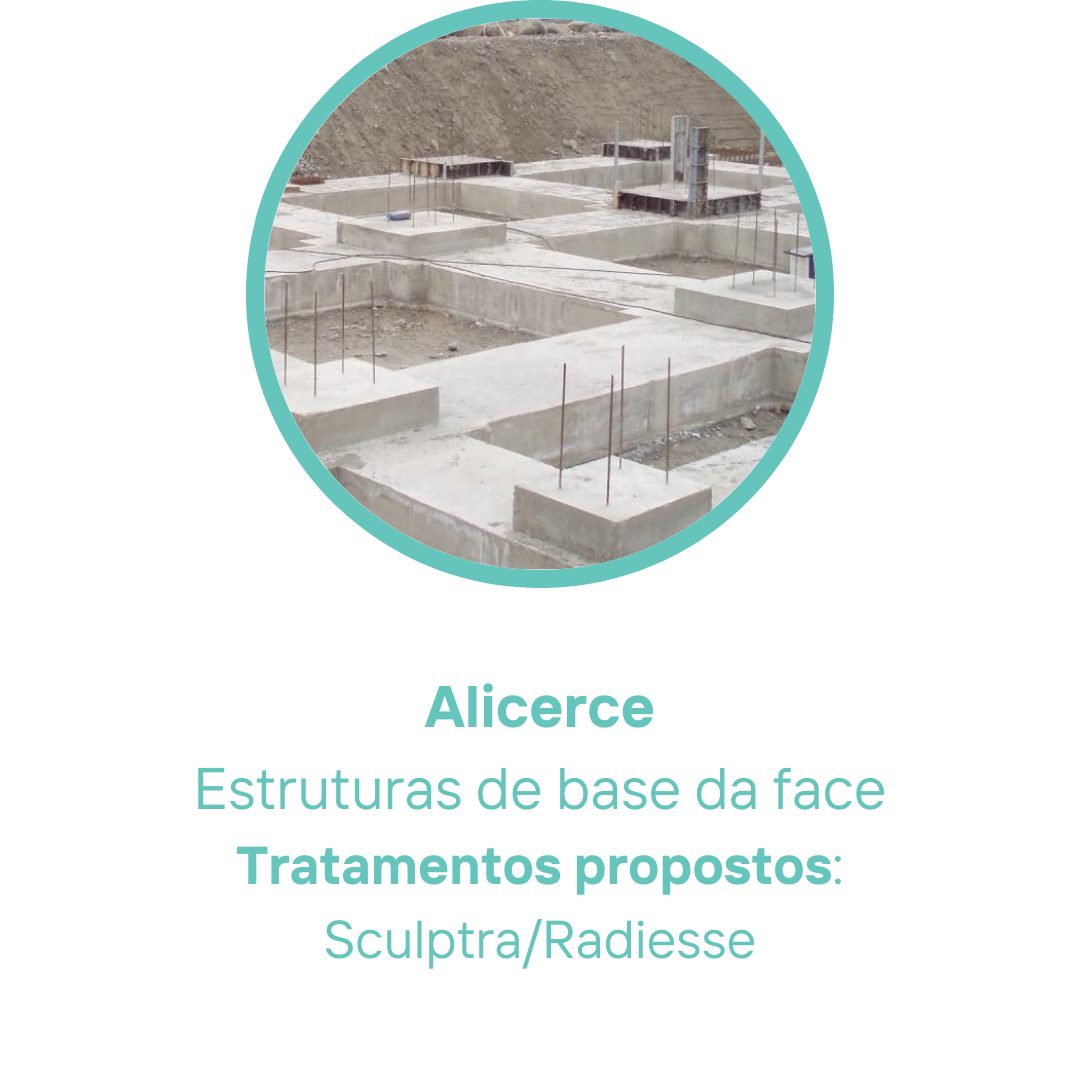 Cópia de Zeca (4).png