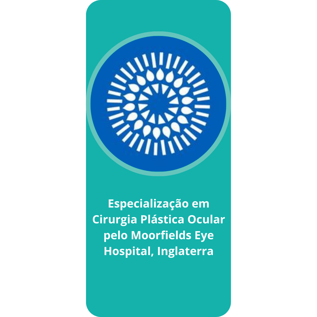 Cópia de Zeca (13).png